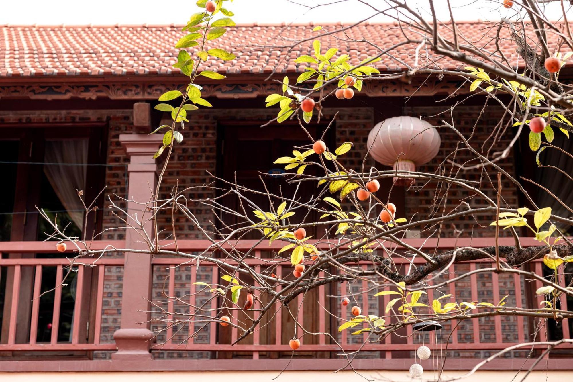 Tam Coc Ngoc Linh Bungalow Ninh Binh Exterior photo